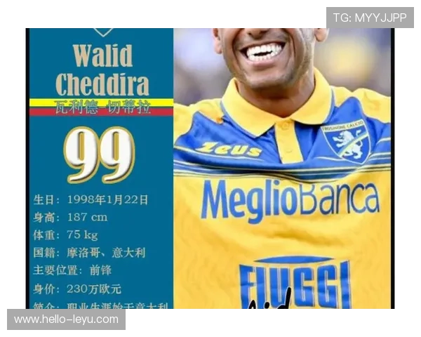 莱切俱乐部历史回顾与发展轨迹分析：从起伏到崛起的足球之路