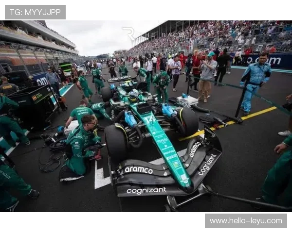 F1赛季最新动态解析各车队策略与车手表现全面点评